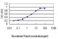 PITX1 Antibody (monoclonal) (M01)