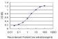 PITX1 Antibody (monoclonal) (M02)