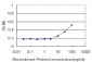 PKP4 Antibody (monoclonal) (M06)