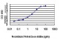 PLD2 Antibody (monoclonal) (M01)