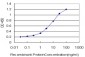 PLXDC1 Antibody (monoclonal) (M01)