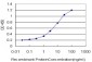 PLXDC1 Antibody (monoclonal) (M01)