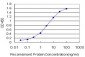 PMS1 Antibody (monoclonal) (M01)