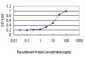 POLA Antibody (monoclonal) (M01)