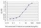 POLD3 Antibody (monoclonal) (M01)