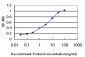 POLI Antibody (monoclonal) (M01)