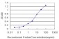 POLR2H Antibody (monoclonal) (M01)