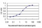 POU6F1 Antibody (monoclonal) (M01)