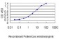 PPARD Antibody (monoclonal) (M01)