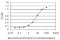 PPIE Antibody (monoclonal) (M02)