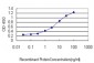 PRDM1 Antibody (monoclonal) (M01)