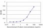 PRDM1 Antibody (monoclonal) (M04)