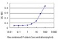 PRDX1 Antibody (monoclonal) (M01)