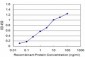 PRKAR2A Antibody (monoclonal) (M01)