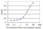 PRPF19 Antibody (monoclonal) (M07)