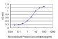 PSCD2 Antibody (monoclonal) (M02)