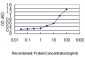 PSMA4 Antibody (monoclonal) (M01)