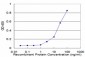 PSMB10 Antibody (monoclonal) (M01)