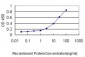 PSME2 Antibody (monoclonal) (M02)