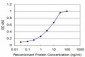 PTF1A Antibody (monoclonal) (M09)