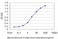 PTPNS1 Antibody (monoclonal) (M01)