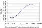 PWP1 Antibody (monoclonal) (M01)