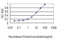 RAB4A Antibody (monoclonal) (M01)