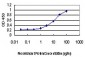 RAB6A Antibody (monoclonal) (M01)