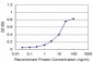 RAB9A Antibody (monoclonal) (M02)