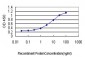 RAD23A Antibody (monoclonal) (M01)