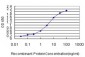 RAD51 Antibody (monoclonal) (M01)