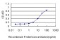 RAD51L3 Antibody (monoclonal) (M02)