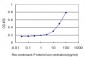 RAP1A Antibody (monoclonal) (M01)