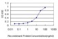 RAP1GA1 Antibody (monoclonal) (M02)