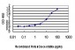RAPGEF4 Antibody (monoclonal) (M01)