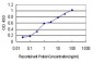 RARB Antibody (monoclonal) (M01)