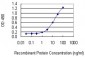 RASA1 Antibody (monoclonal) (M01)