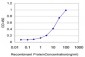 RASEF Antibody (monoclonal) (M01)
