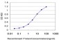 RCV1 Antibody (monoclonal) (M05)