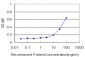 REG1A Antibody (monoclonal) (M16)