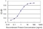 RELA Antibody (monoclonal) (M01)