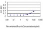 REN Antibody (monoclonal) (M01)