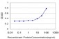 RFC3 Antibody (monoclonal) (M01)