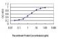 RFWD2 Antibody (monoclonal) (M01)