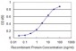 RGS4 Antibody (monoclonal) (M01)