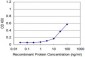 RHOA Antibody (monoclonal) (M04)