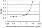 RHOC Antibody (monoclonal) (M06)