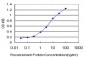 RIPK2 Antibody (monoclonal) (M02)