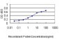 RLBP1 Antibody (monoclonal) (M02)