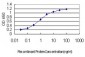 RNF12 Antibody (monoclonal) (M01)